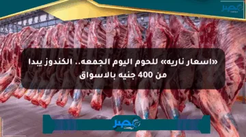 «أسعار نارية» للحوم اليوم الجمعة.. الكندوز يبدأ من 400 جنيه بالأسواق